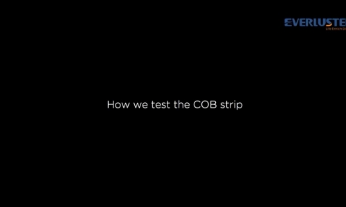 What test we have done for the cob strip