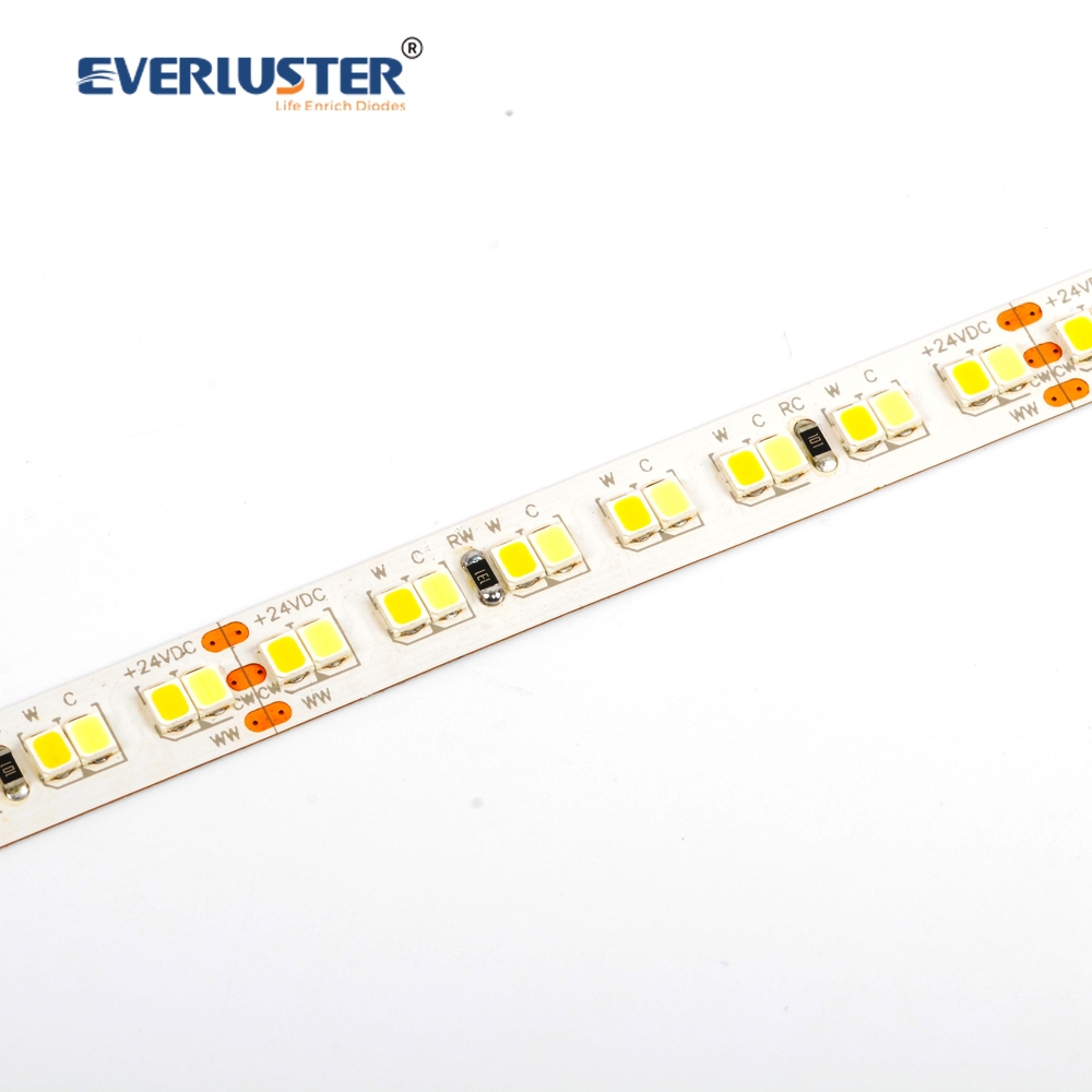 CCT tunable -2835 led strip light 224 leds 24V