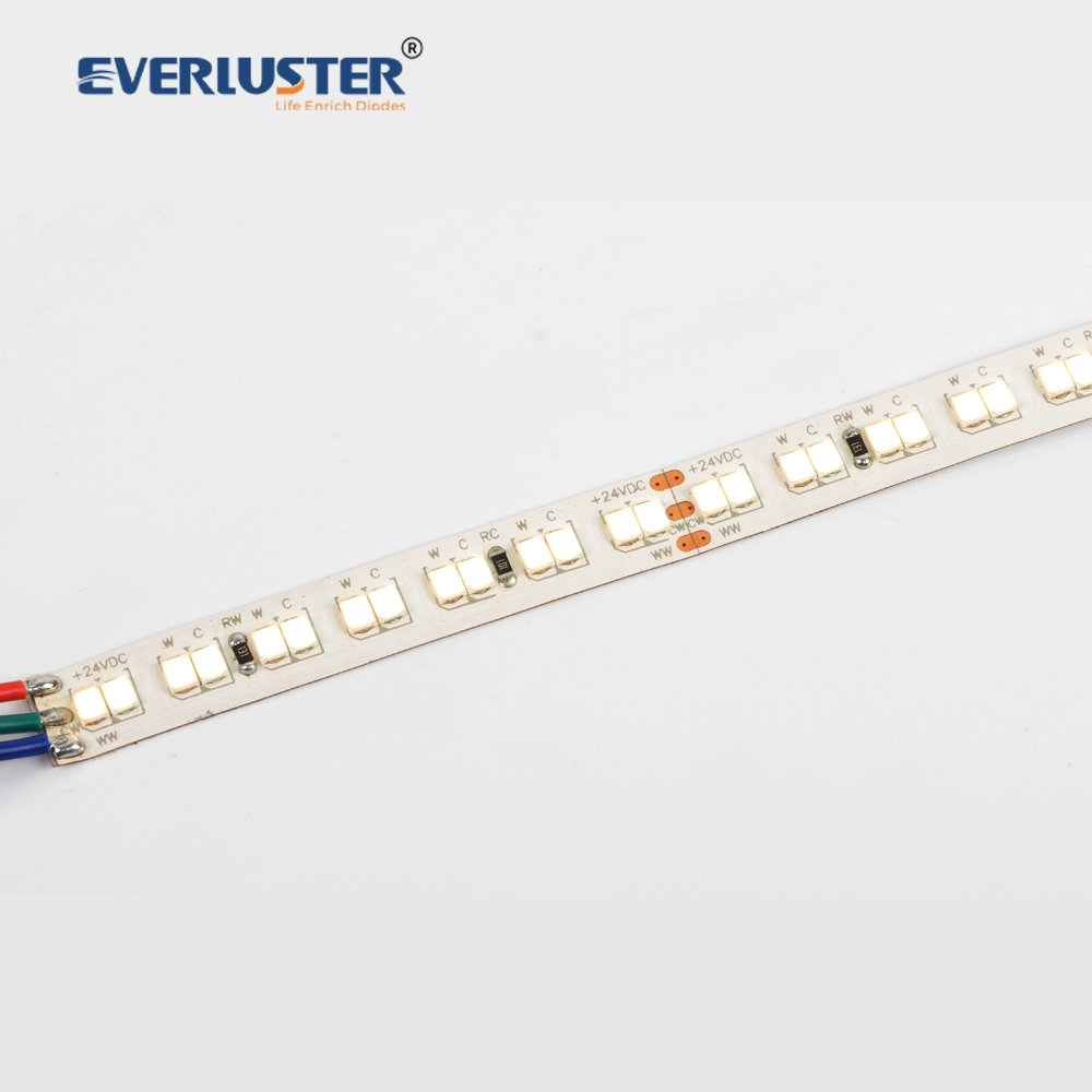 CCT tunable -2835 led strip light 224 leds 24V