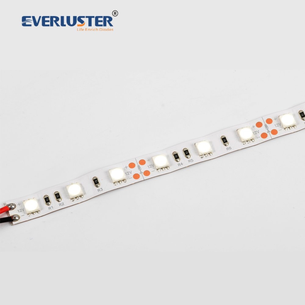 Eco series -5050 led strip 120leds 24V